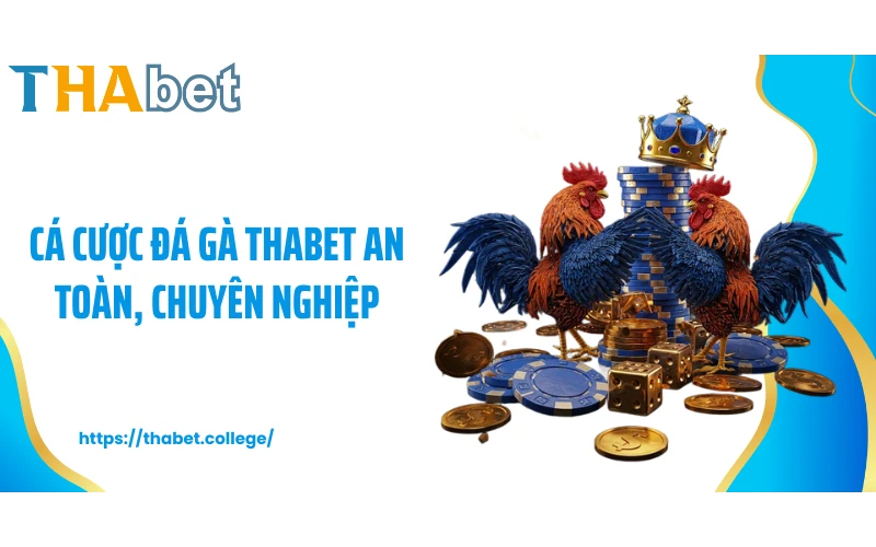Cá cược đá gà THABET an toàn, chuyên nghiệp