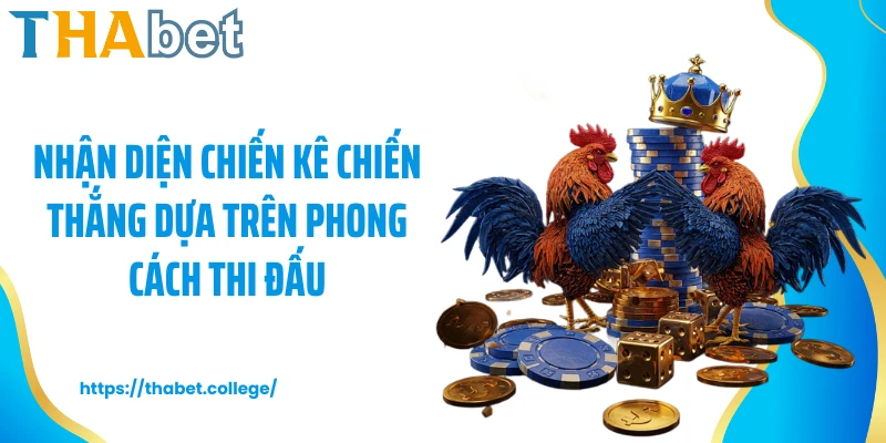 Nhận diện chiến kê chiến thắng dựa trên phong cách thi đấu